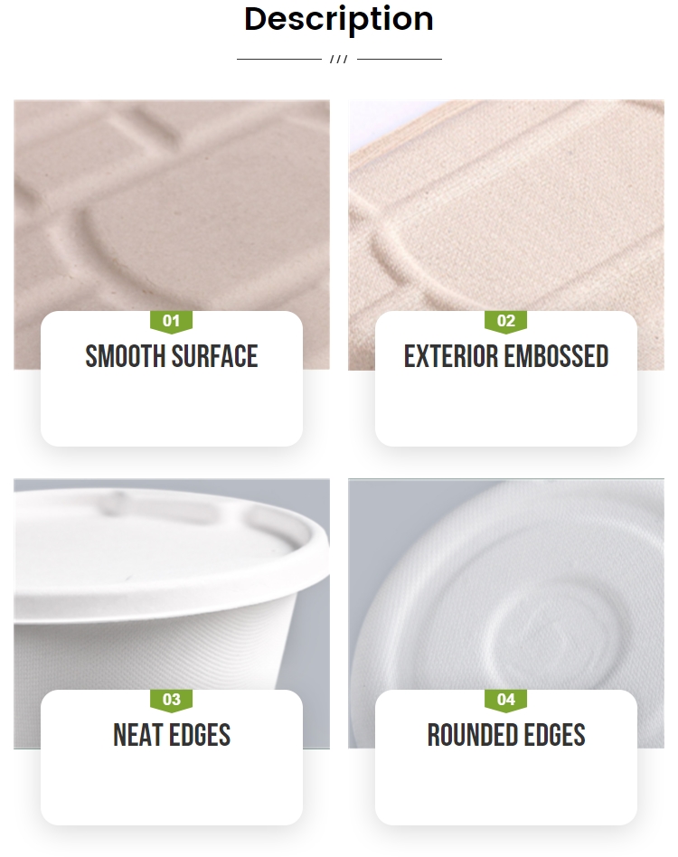 Lancheira Descartável