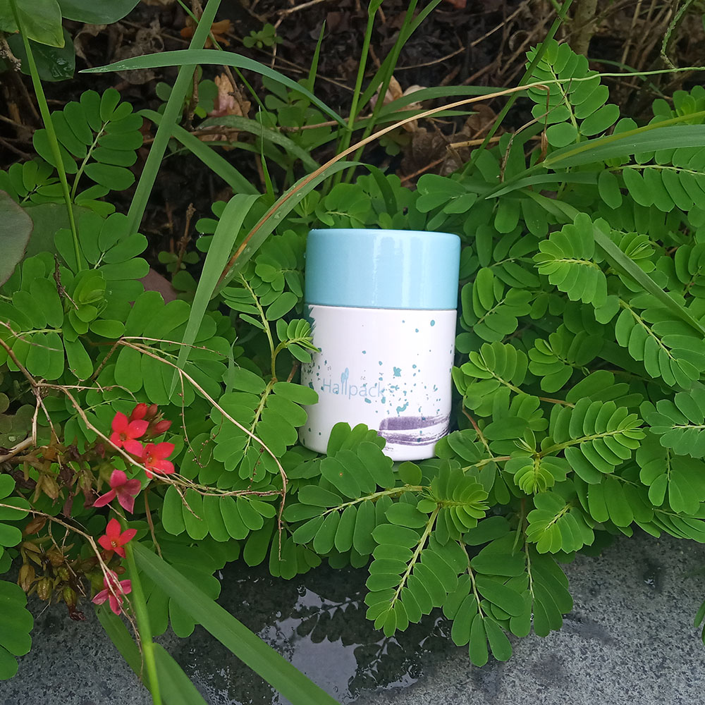 أنبوب ورقي لتغليف المواد الغذائية في المملكة المتحدة